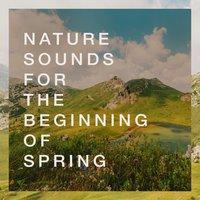 Nature Sounds for the Beginning of Spring