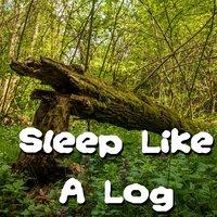 Sleep Like A Log