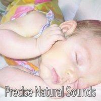 Precise Natural Sounds