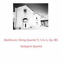 String Quartet N. 5 In A, Op. 185: 1. Allegro