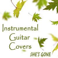 Instrumental Guitar Covers - She's Gone