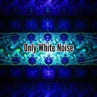 Only White Noise
