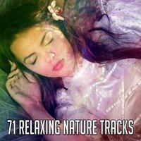 71 Relaxing Nature Tracks