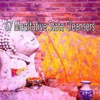 67 Meditative State Cleansers