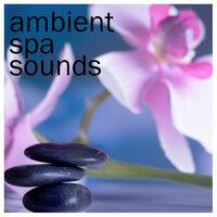 19 Ambient Rain Sounds for Meditation and Spa, Background Yoga Music