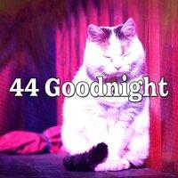44 Goodnight