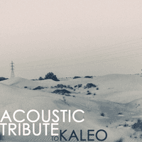 Acoustic Tribute to Kaleo