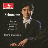 R. Schumann: Piano Music