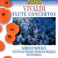 Flute Concerto in G Major, Op. 10, No. 6, RV 437, "Il cavallo": I. Allegro