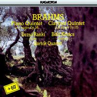 Brahms: Piano Quintet in F Minor / Clarinet Quintet in B Minor