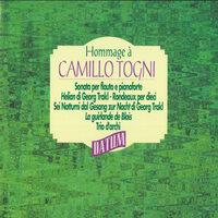 Hommage à Camillo Togni