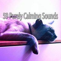59 Purely Calming Sounds