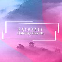 #16 Naturally Calming Sounds to Free the Soul