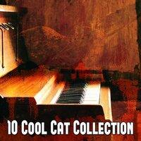 10 Cool Cat Collection