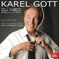 Karel Gott vs. DJ Neo Remixes
