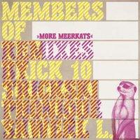 Members Of The Trick 10: More Meerkats