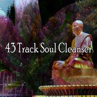 43 Track Soul Cleanser