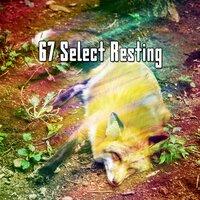 67 Select Resting