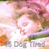46 Dog Tired