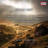 Liszt: Grandes études de Paganini, S. 141 & Études d'exécution transcendante d'après Paganini, S. 140