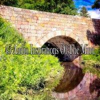 45 Audio Insprations Of The Mind