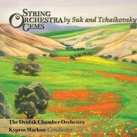 String Orchestra Gems by Suk & Tchaikovsky