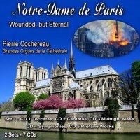 Notre-Dame de Paris Eternelle - Wounded, but Eternal - Coffret 1 : 5 Volumes