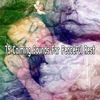 75 Calming Sounds for Peaceful Rest