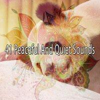 41 Peaceful and Quiet Sounds
