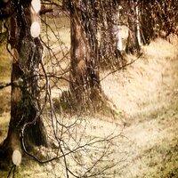 A Collection of Loopable Rain Sounds for Sleep, Relaxation, Meditation and Yoga