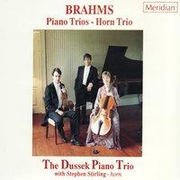 Brahms: Piano Trios - Horn Trio