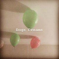 Dogs Dreams