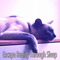 Escape Reality Through Sleep