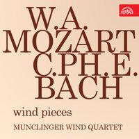 Munclinger Wind Quartet