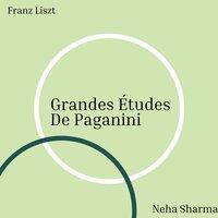 Liszt: Grandes études de Paganini, S. 141