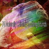 74 Naturally Calming Soothing Sounds