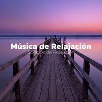 Música de Relajacion: Sonidos de Relajación
