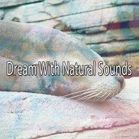 Dream With Natural Sounds