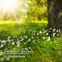 #19 Beautiful Sounds for Enlightenment