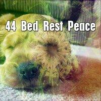 44 Bed Rest Peace