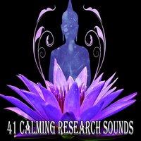 41 Calming Research Sounds