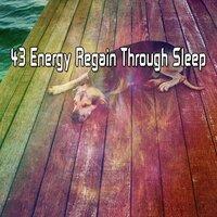 43 Energy Regain Through Sleep