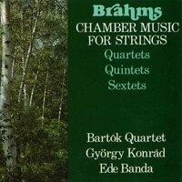 String Quartet No. 3 in B-Flat Major, Op. 67: II. Andante