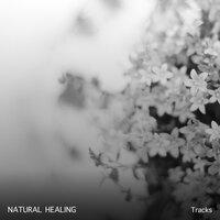 18 Natural Healing Tracks to Invigorate Body and Soul