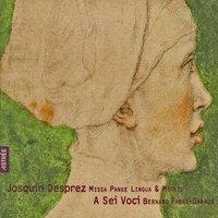 J. Desprez: Missa pange lingua & Motets - Desprez Recordings, Vol. 5