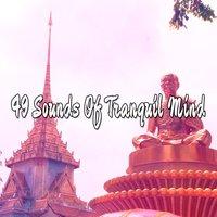 49 Sounds Of Tranquil Mind