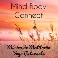 Mind Body Connect - Música de Meditação Yoga Relaxante para Dormir Estudar Chakras do Corpo e Treinamento Cerebral