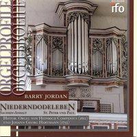 Orgelprofile - Historische Orgel Sankt Peter und Paul, Niederndodeleben, Sachsen Anhalt