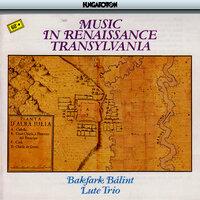 Music In Renaissance Transylvania