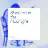 Bluebirds in the Moonlight